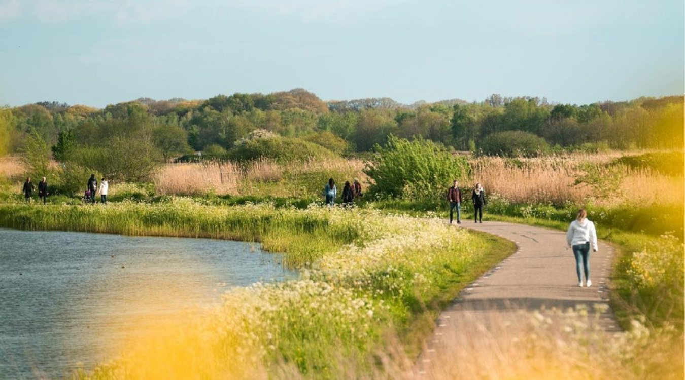 Wandelen en fietsen Den bosch